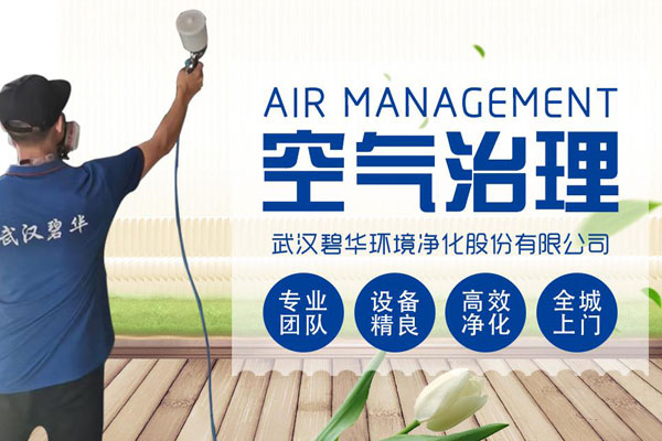 武汉碧华环境净化股份有限公司